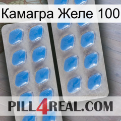 Камагра Желе 100 23